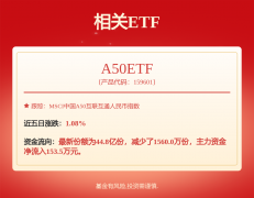 “中国工业X射线年业绩快报：营收同比增加258